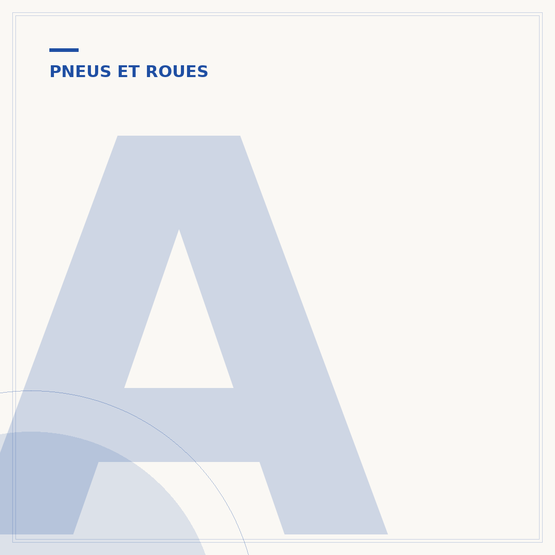 Antivol roue voiture : protégez-les des vols et des jantes