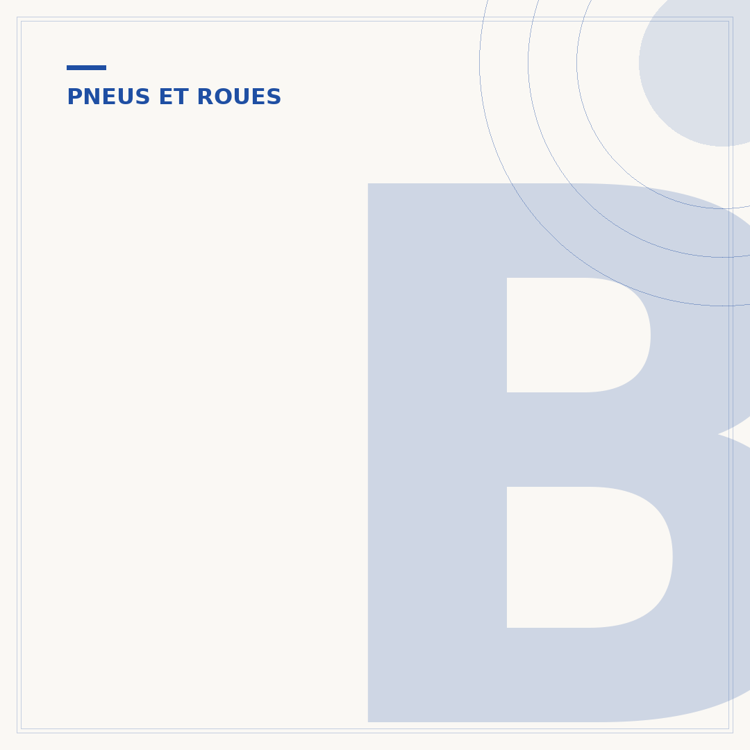 Bruit métallique de la roue avant