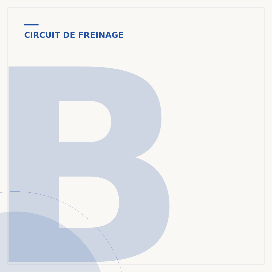 Bruit de ferraille des freins