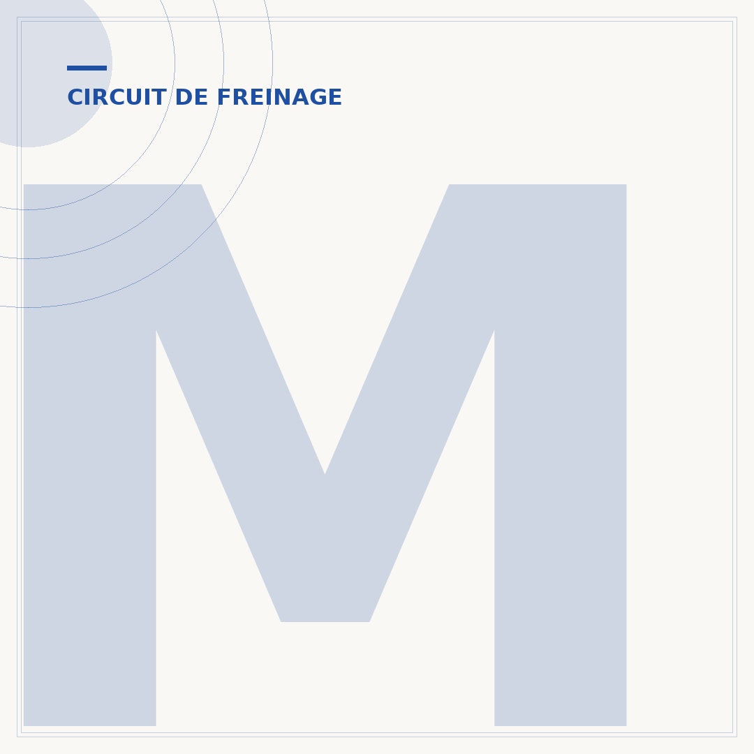 Mâchoire de frein arrière