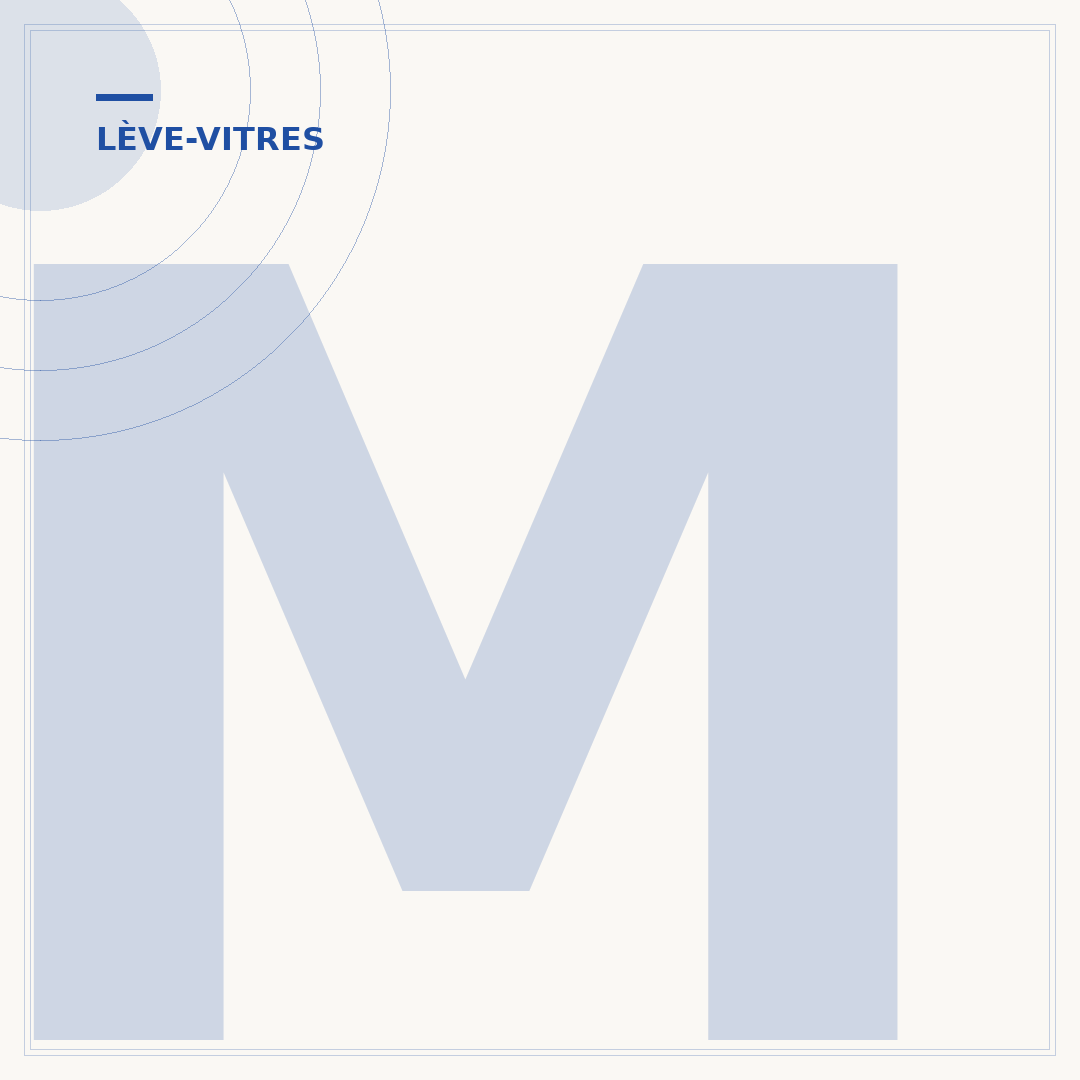 Moteur de lève-vitre de Mégane 2
