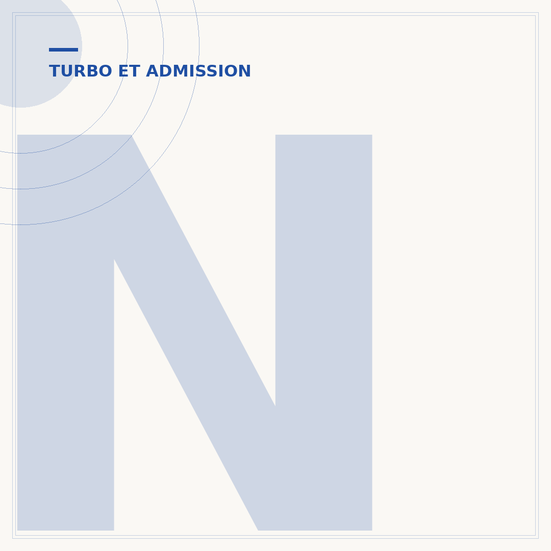 Nettoyage du collecteur d'admission sans démontage