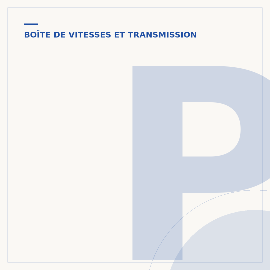 Pommeau de vitesse de la 308