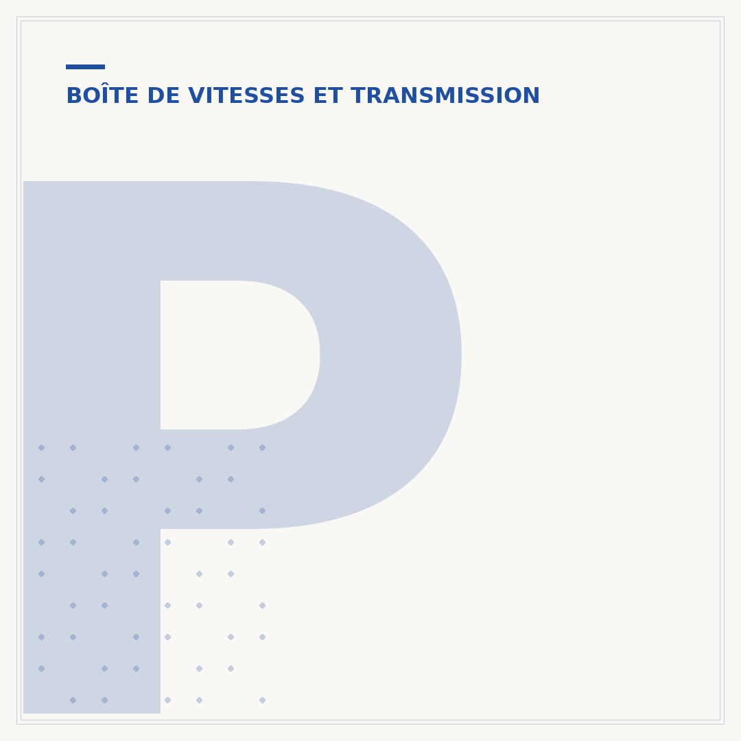 Pommeau de vitesse de la Peugeot 207