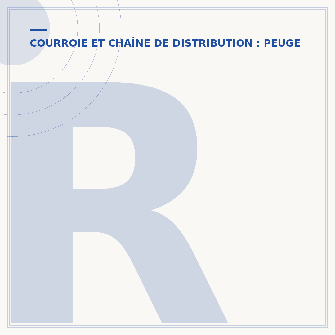 Rappel DS3 courroie de distribution : ce qu'il faut vérifier