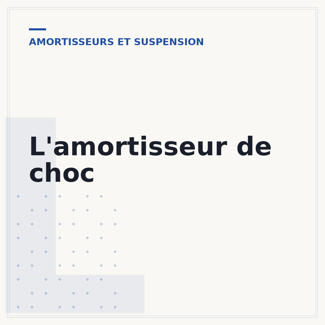 L'amortisseur de choc