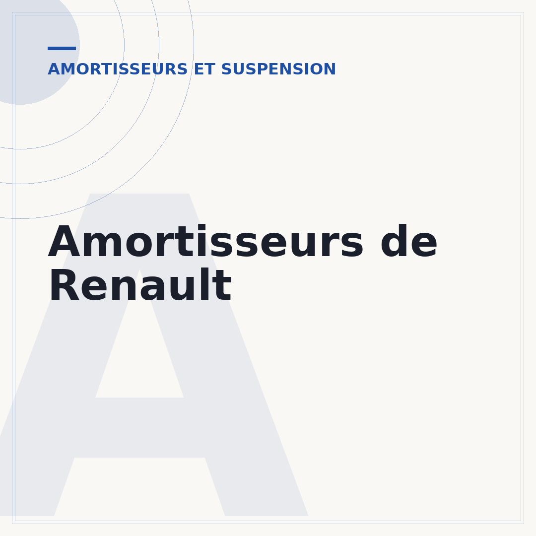 Amortisseurs de Renault