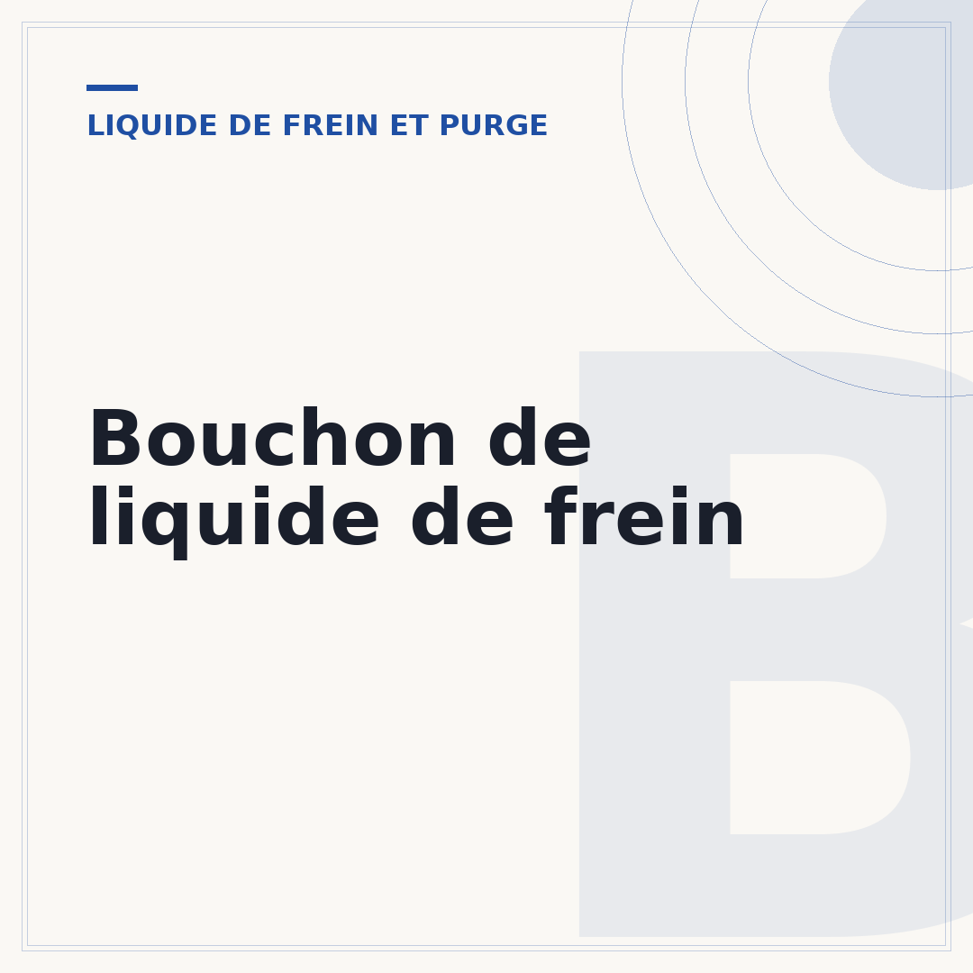 Bouchon de liquide de frein