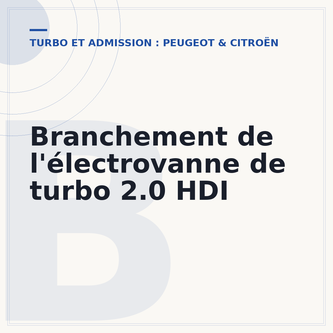 Branchement de l'électrovanne de turbo 2.0 HDI