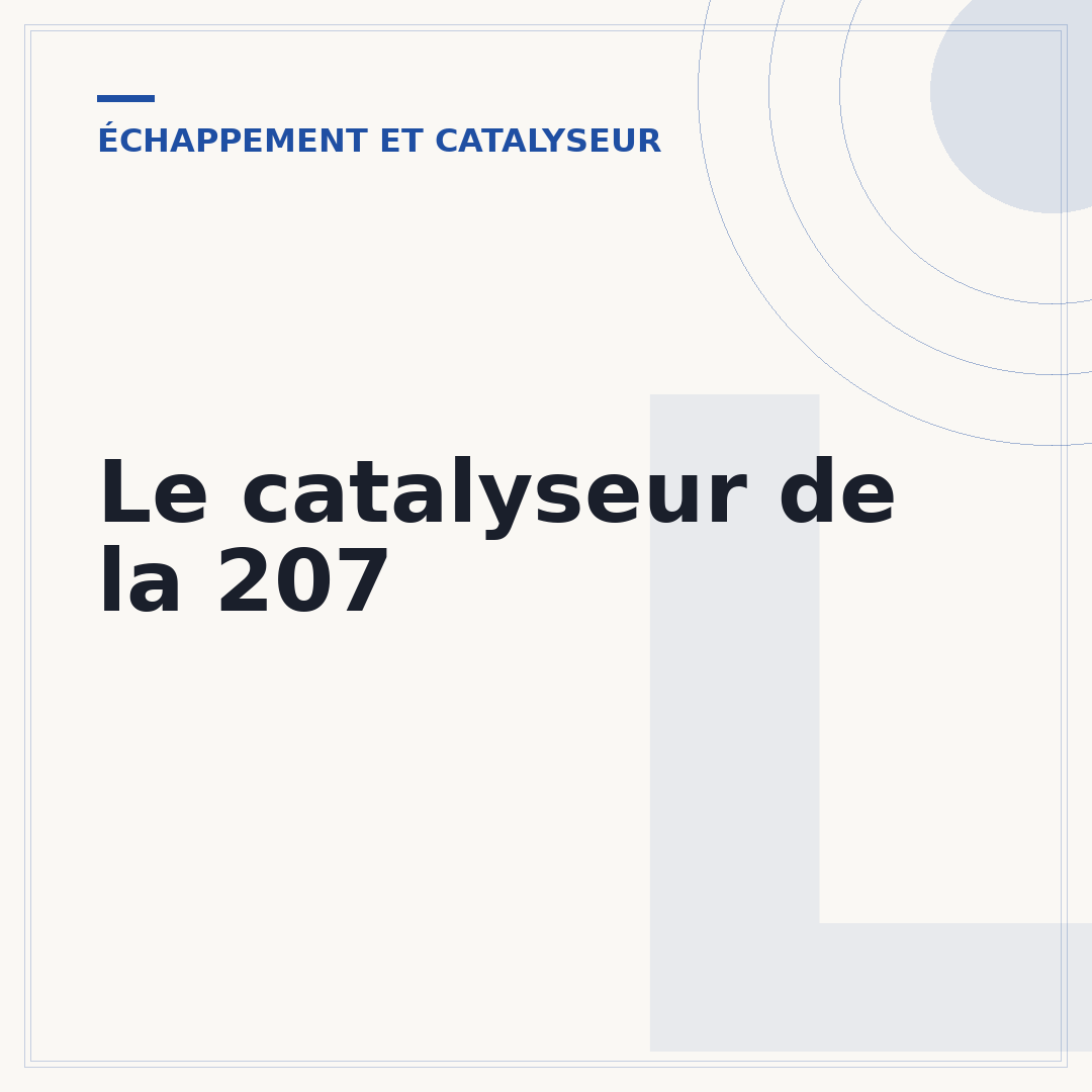 Le catalyseur de la 207