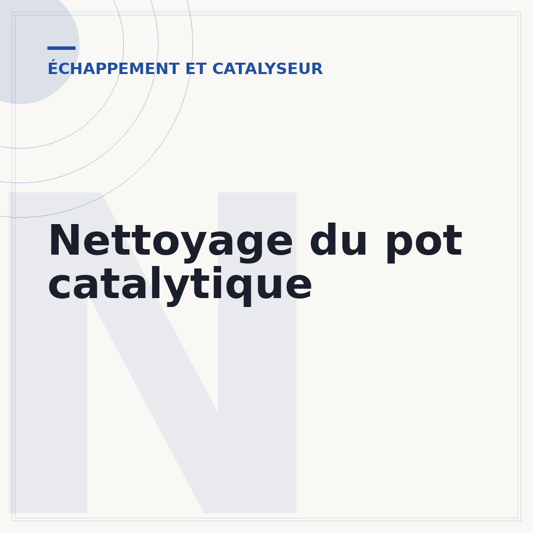 Nettoyage du pot catalytique