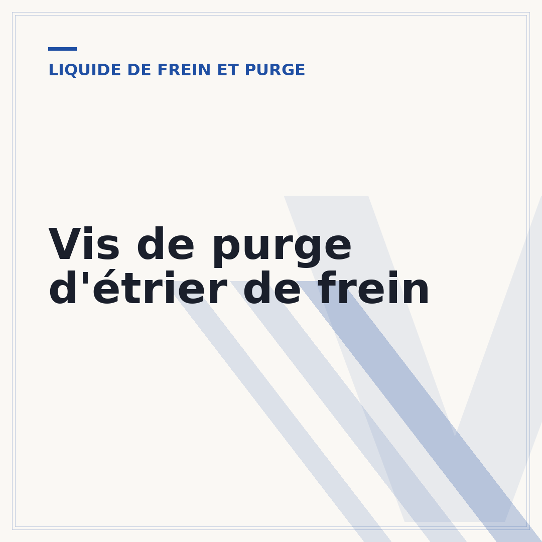 Vis de purge d'étrier de frein